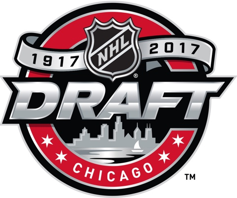 NHL Draft 2017 Primary Logo t shirts iron on transfers